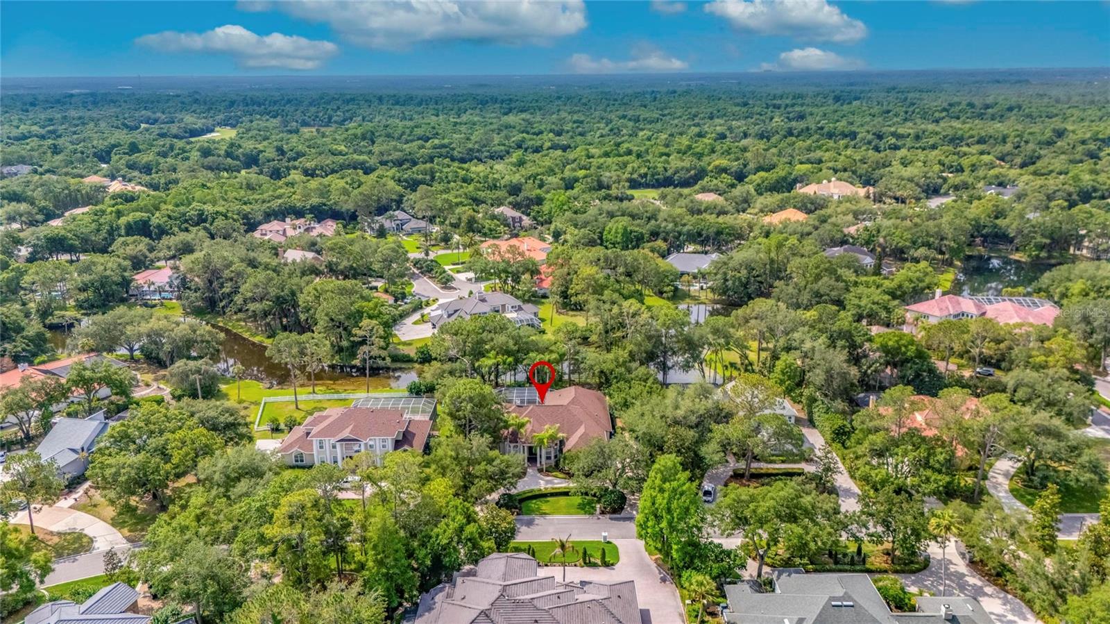 TAMPA PALMS 4A UNIT 1 - Residential