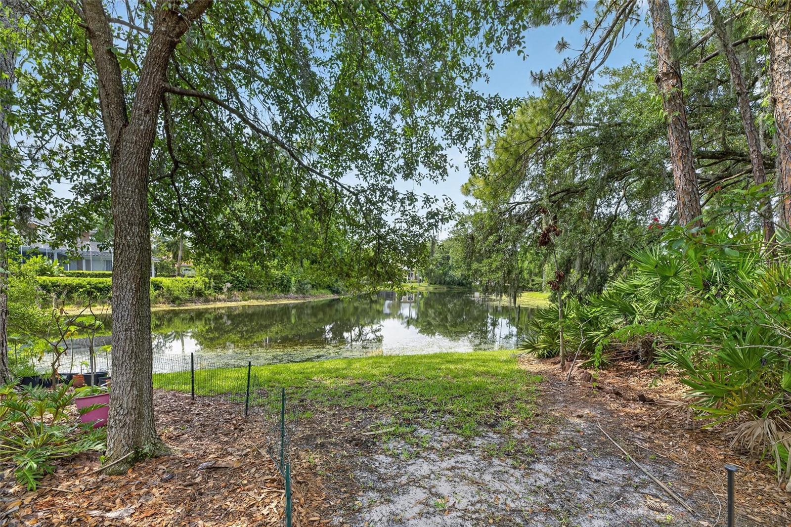 TAMPA PALMS 4A UNIT 1 - Residential
