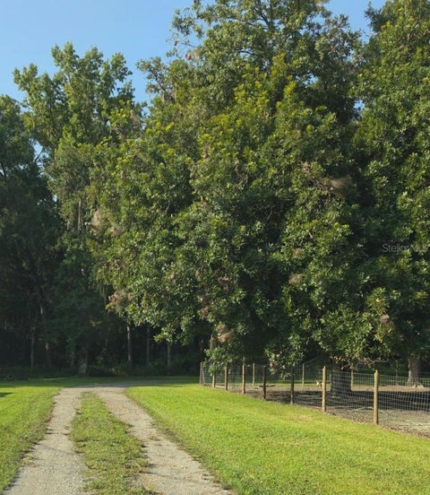 Tiny photo for 3415 Cr 679, Webster, FL 33597 (MLS # W7888213)