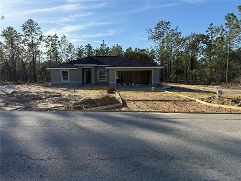 Photo of 2460 NW Buena Vista Road, Dunnellon, FL 34431 (MLS # OM717633)