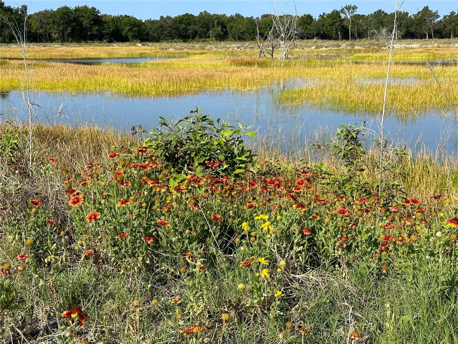 LAKES UNIT 2 PH 4 - Residential