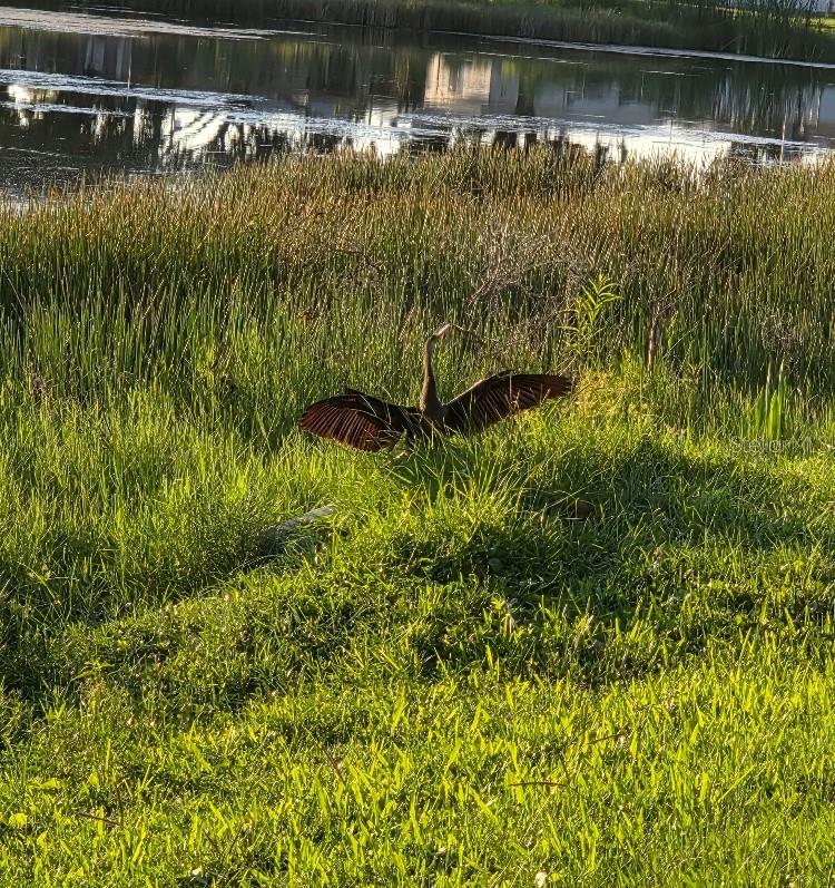 LAKES UNIT 2 PH 4 - Residential