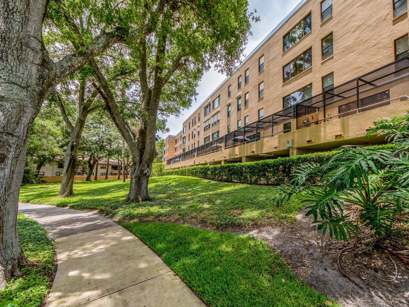 3078 EASTLAND BOULEVARD 205