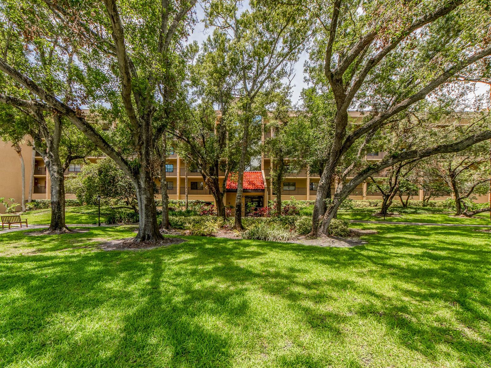 3078 EASTLAND BOULEVARD 205