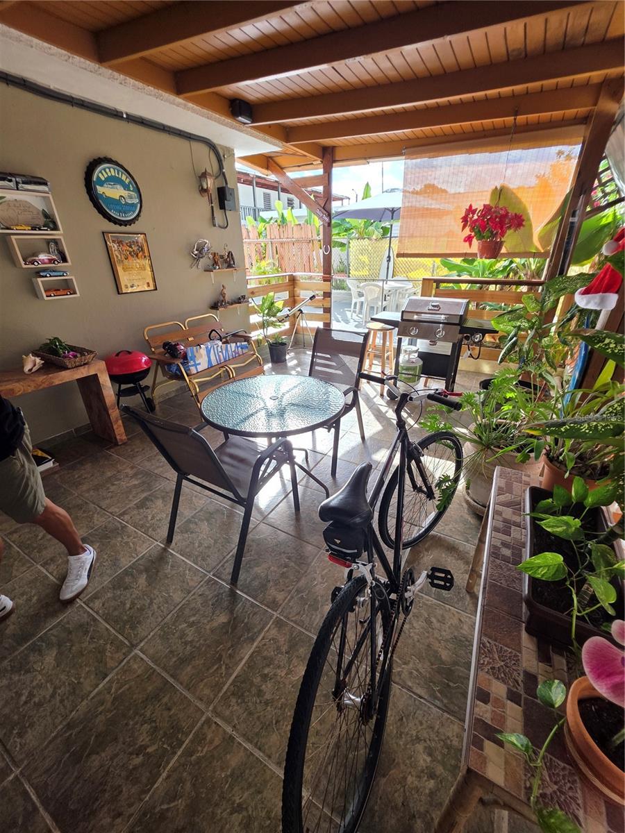 BUENA VISTA - Residential