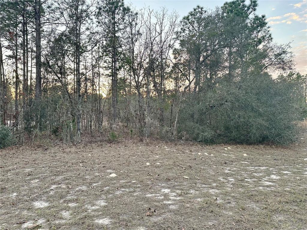 Photo of 0 SW 129th Pl, Ocala, FL 34473 (MLS # OM716209)