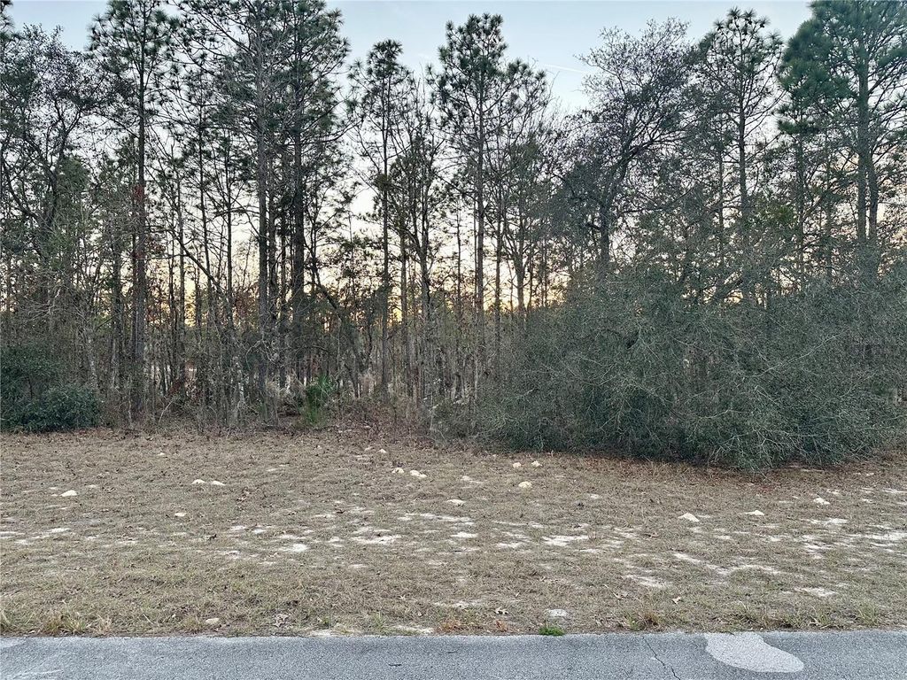 Photo of 0 SW 129th Pl, Ocala, FL 34473 (MLS # OM716209)