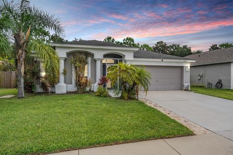 Photo of 13221 Evening Sunset Lane, Riverview, FL 33579 (MLS # TB8493679)