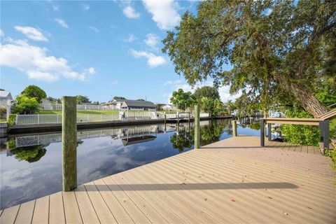 A home in BRADENTON