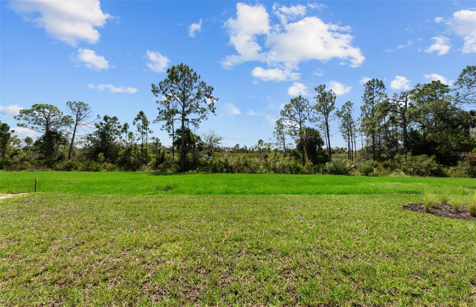 ARBOR OAKS AT THE WOODLANDS - Residential