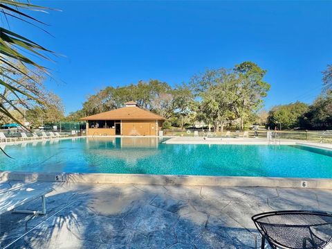 A home in HOMOSASSA