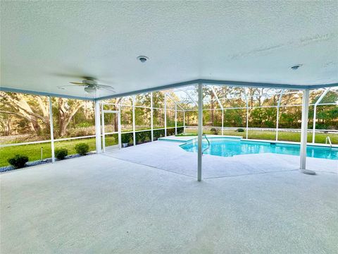 A home in HOMOSASSA
