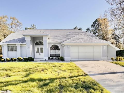 A home in HOMOSASSA