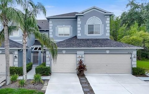 18148 NASSAU POINT DRIVE TAMPA FL 33647