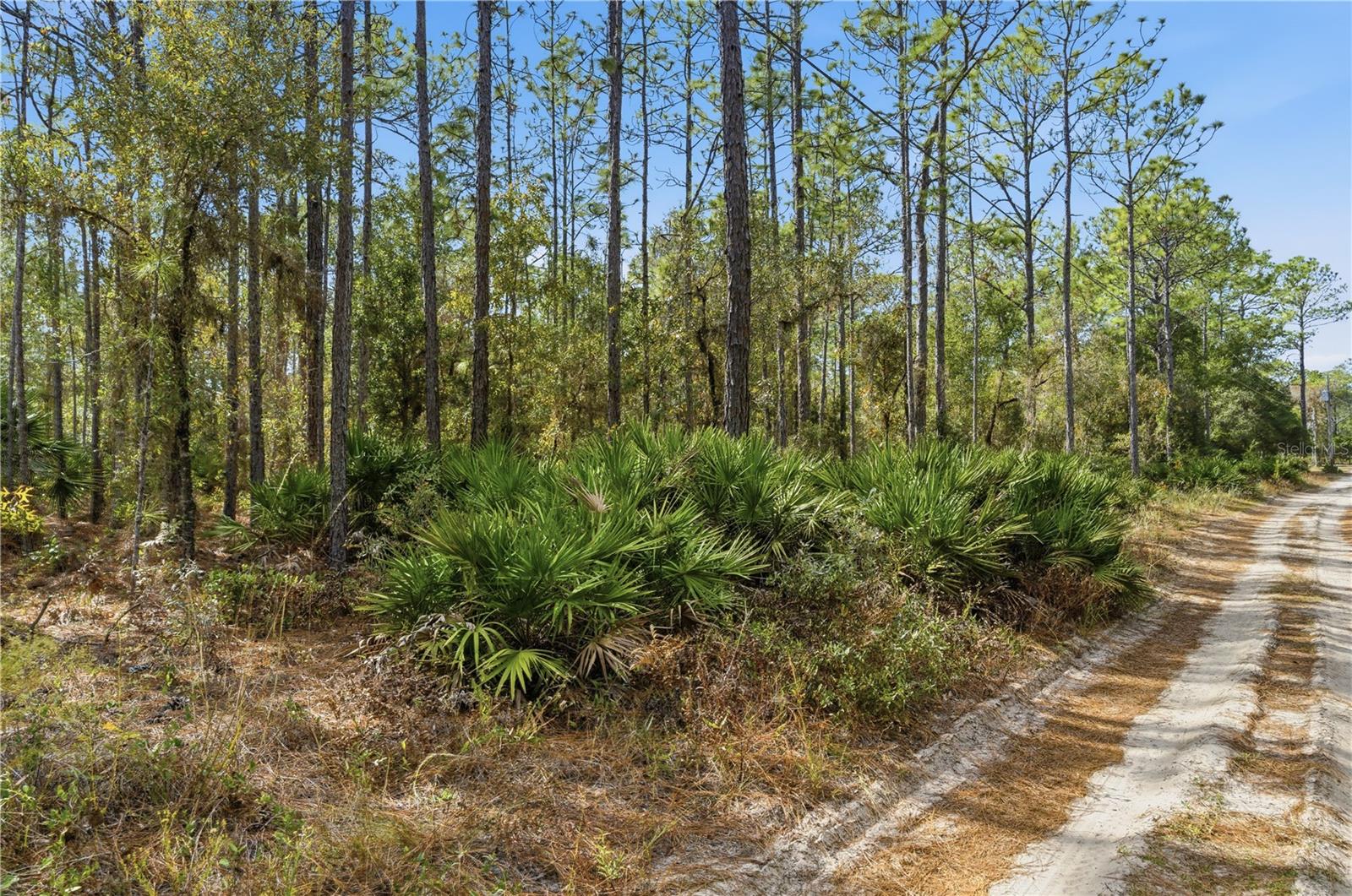 NICK AL CORP UNREC - Land