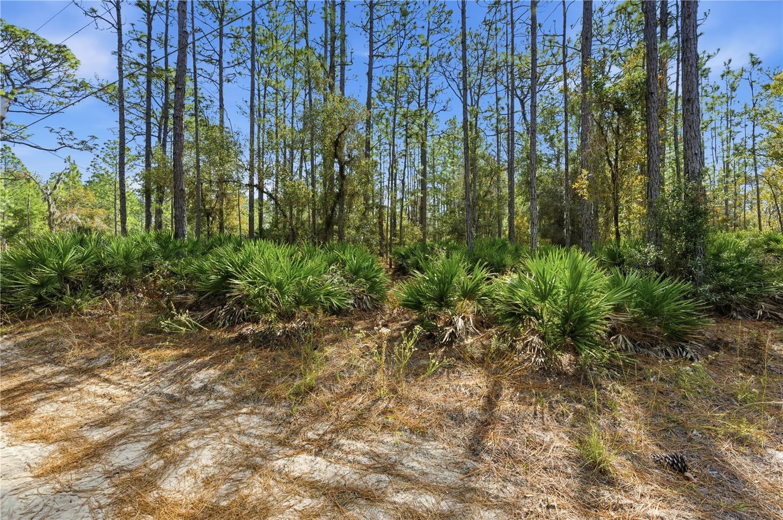 NICK AL CORP UNREC - Land