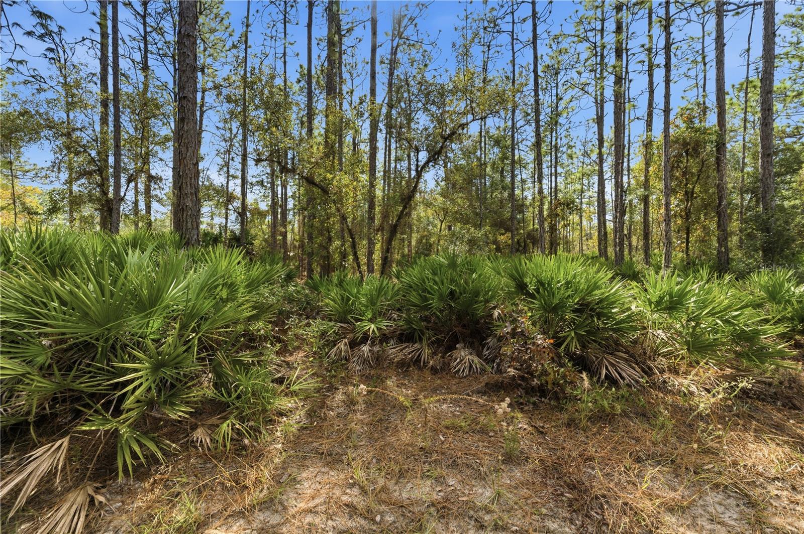 NICK AL CORP UNREC - Land