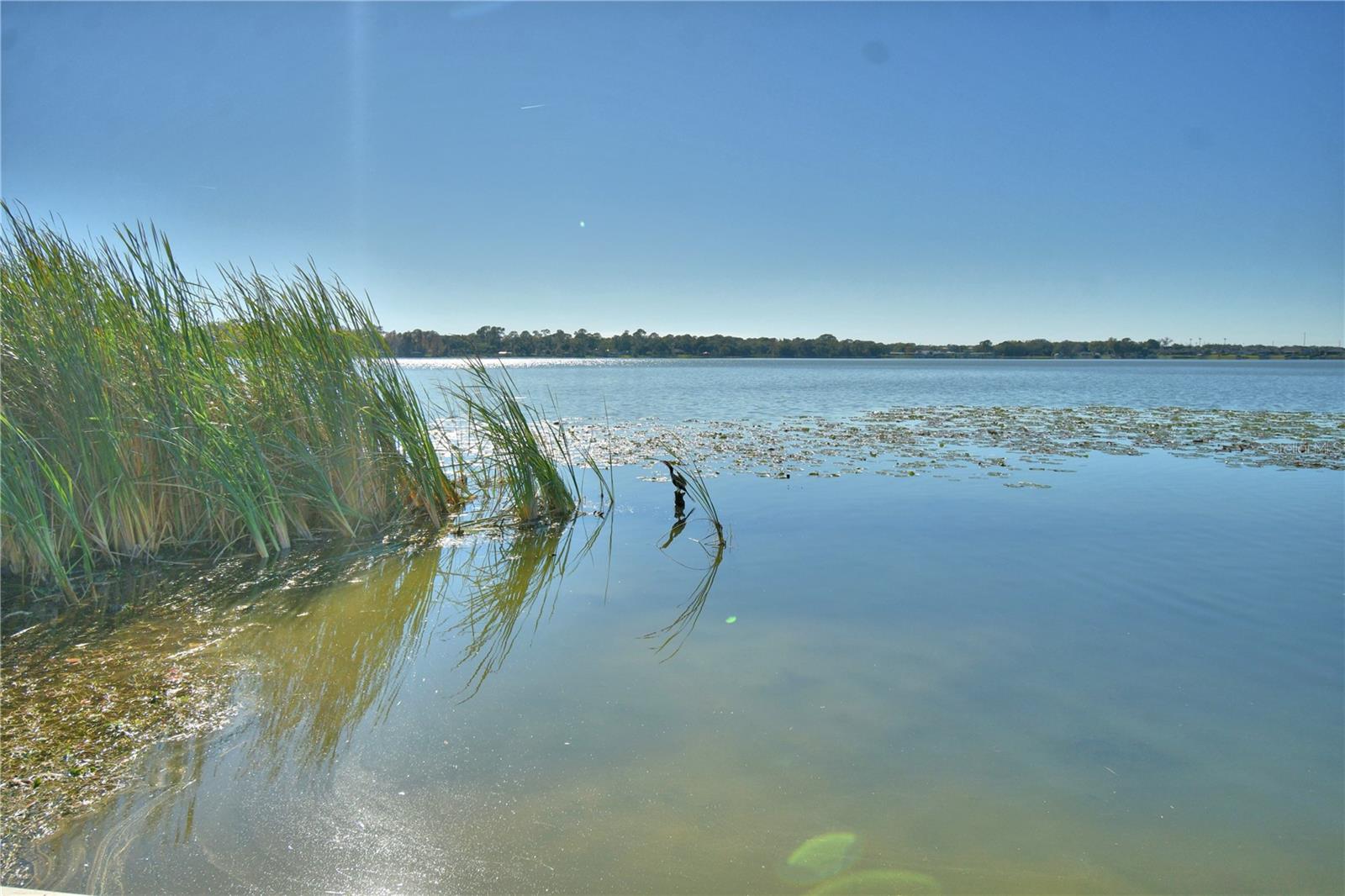 LAKE MARIANA ACRES - Residential