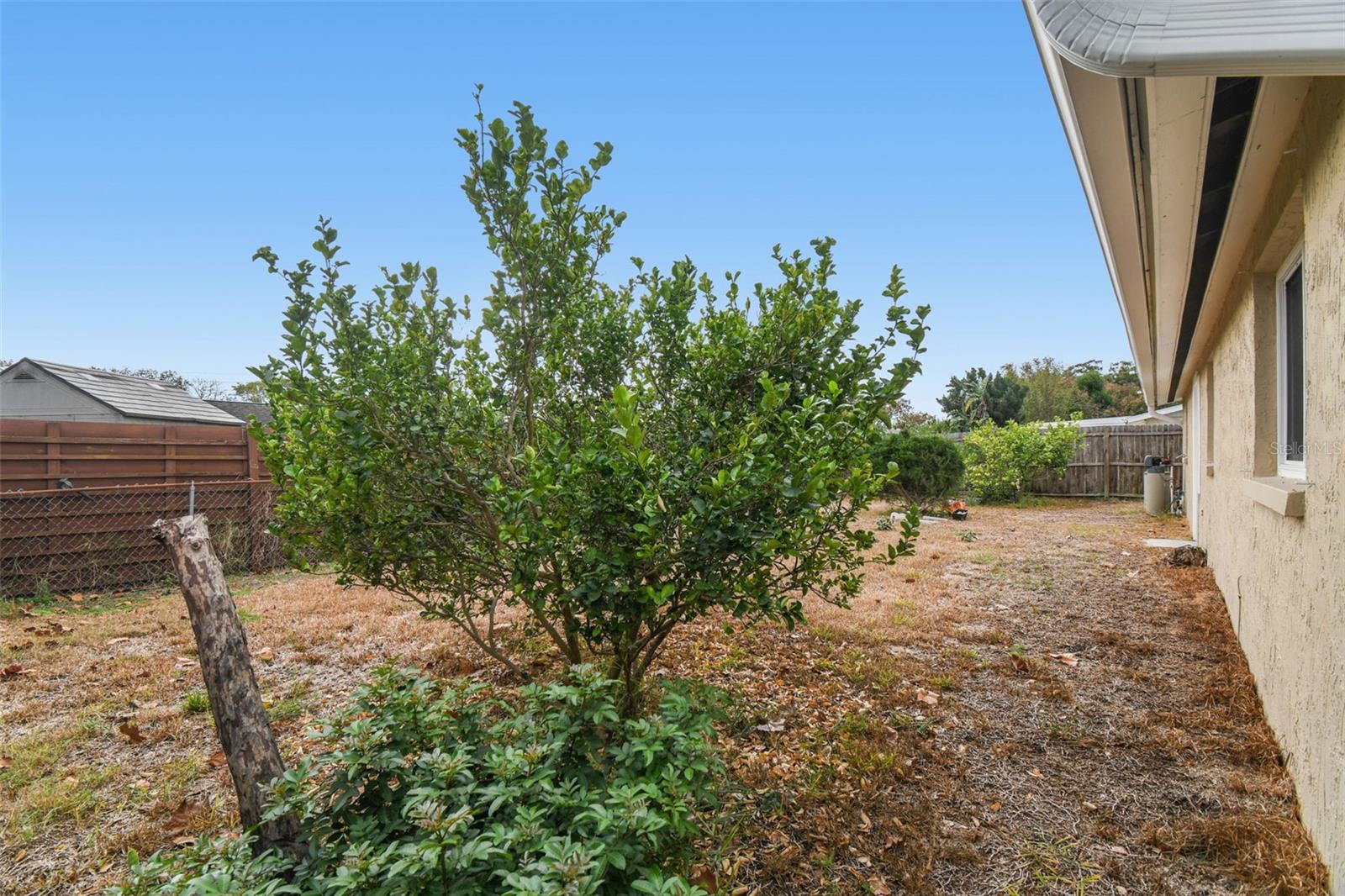 PALM TERRACE GARDENS - Residential