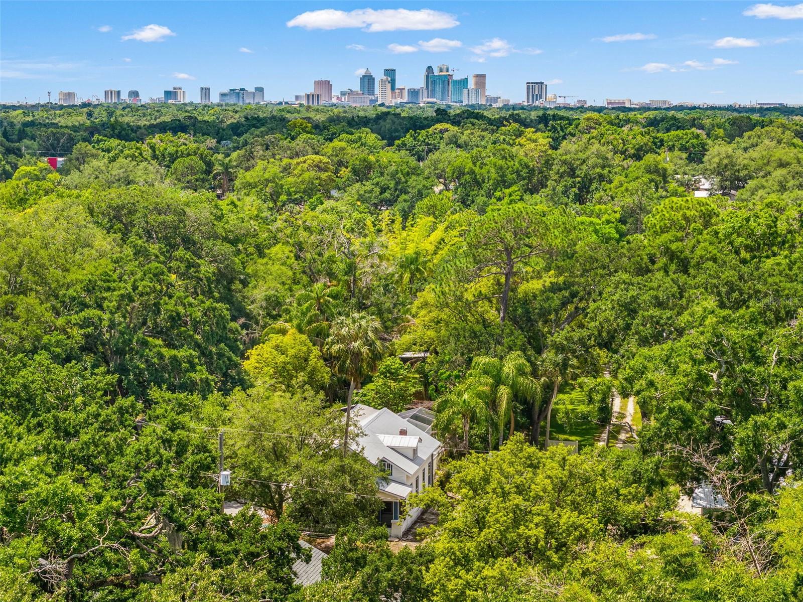 IDLEWILD ON THE HILLSBOROUGH - Residential