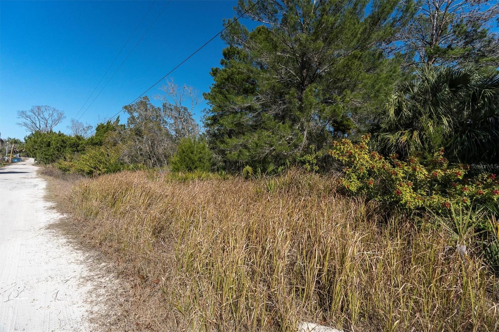 MIKE SUGAR ACRES - Land