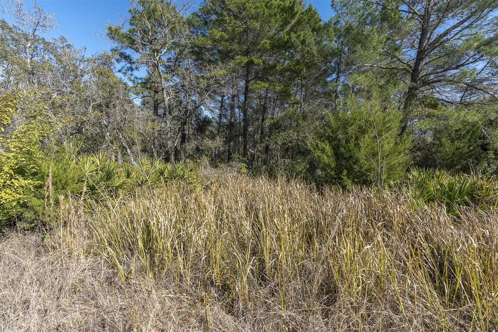 MIKE SUGAR ACRES - Land