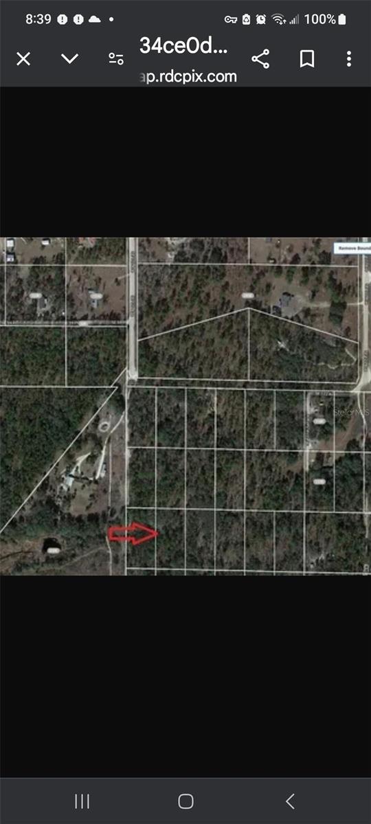 1.25 Acres , Zone agricultural / rural residential . No hoa / zone x / mobile / manufactured or build your dream home allowed. Discover this expansive plot of land in Morriston, FL, offering endless possibilities for development or personal use. Nestled in a serene location, Surrounded by the natural beauty of the Florida landscape. Enjoy the tranquility and privacy this area affords while still being conveniently accessible to nearby amenities and attractions. Aproximately 30 minutes to gainesville or ocala.