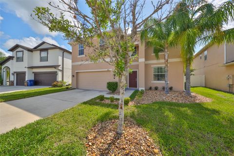 A home in LAND O LAKES