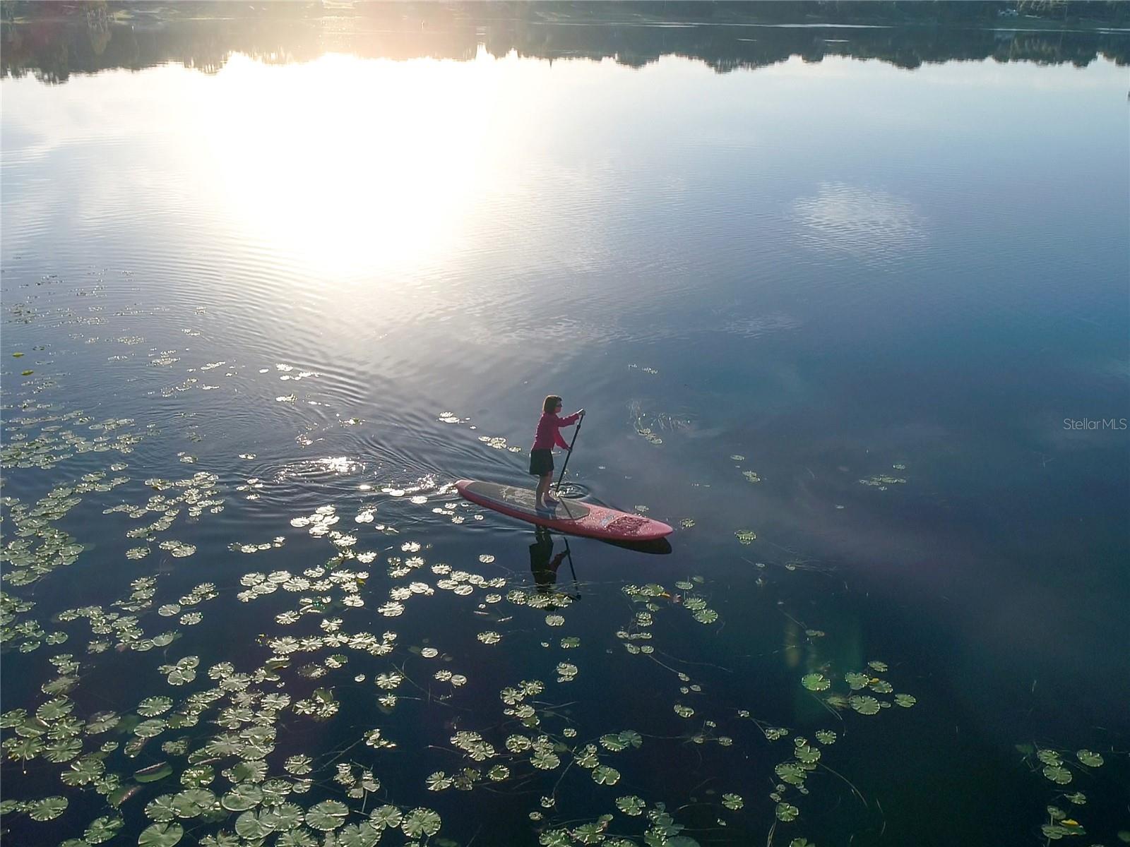 BLOUNT & WHITLEDGE SUB - Residential Lease