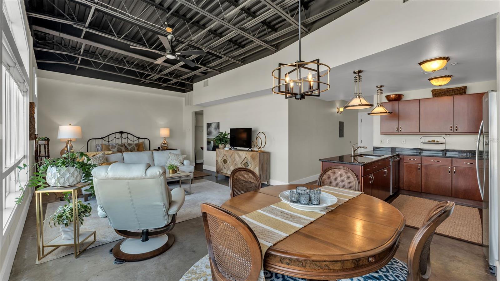 LOFTS ON PARK CONDO - Residential