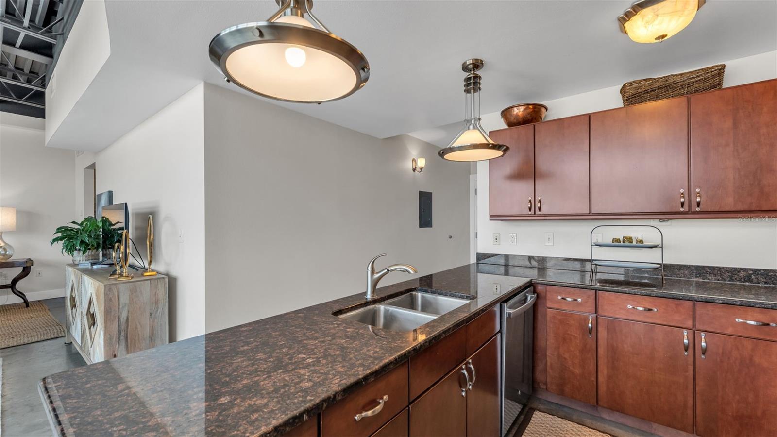 LOFTS ON PARK CONDO - Residential