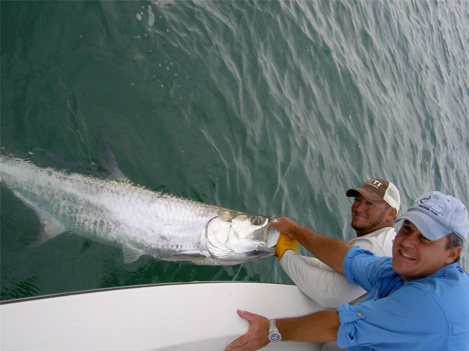 GALLEONS REACH - Land