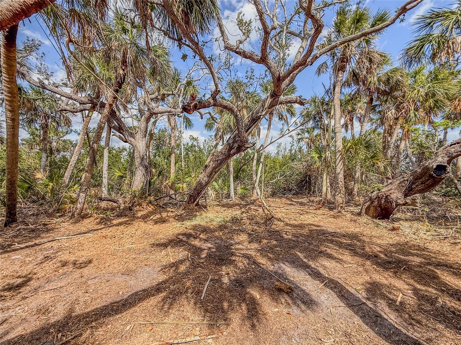 GALLEONS REACH - Land