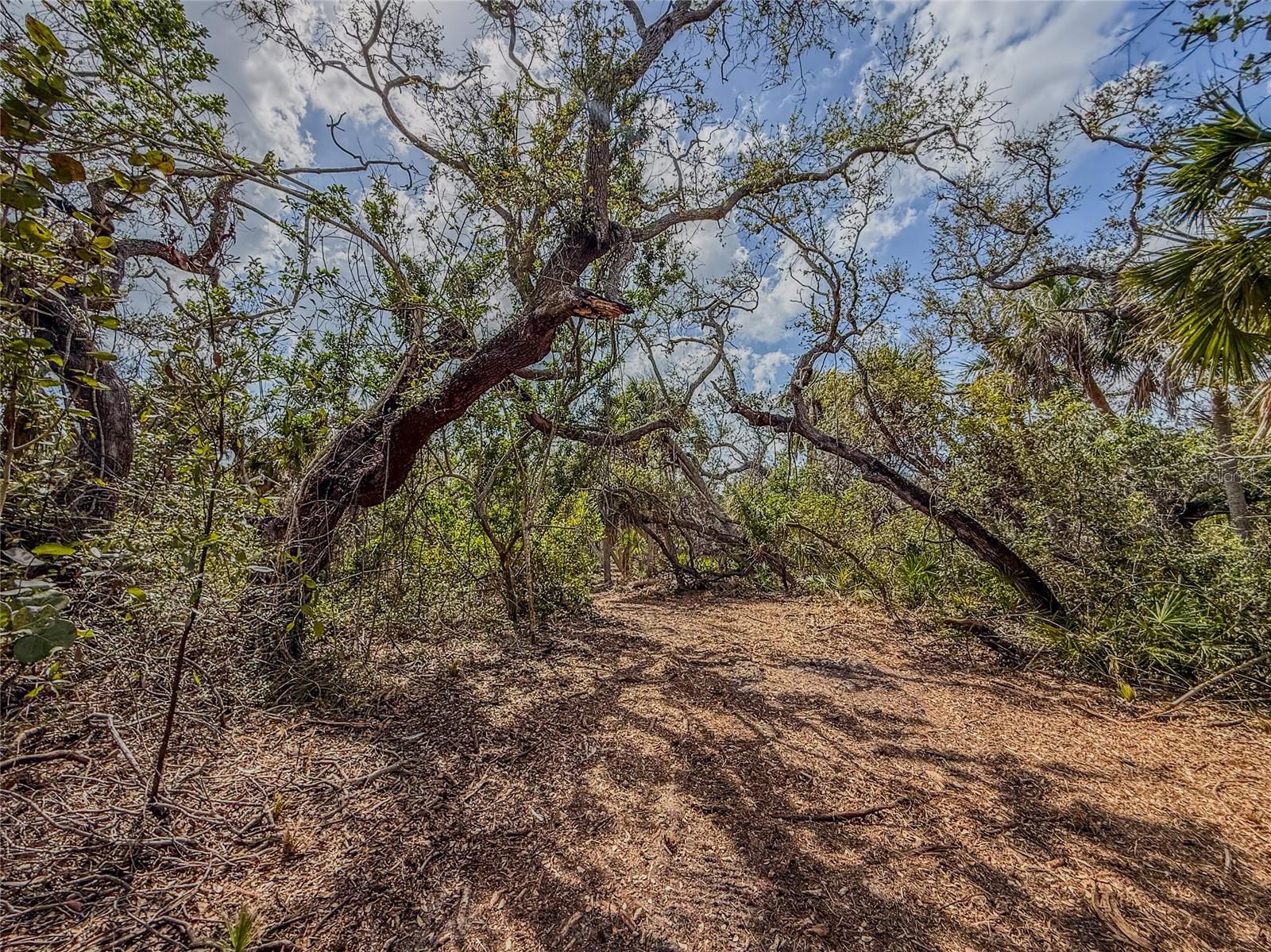 GALLEONS REACH - Land