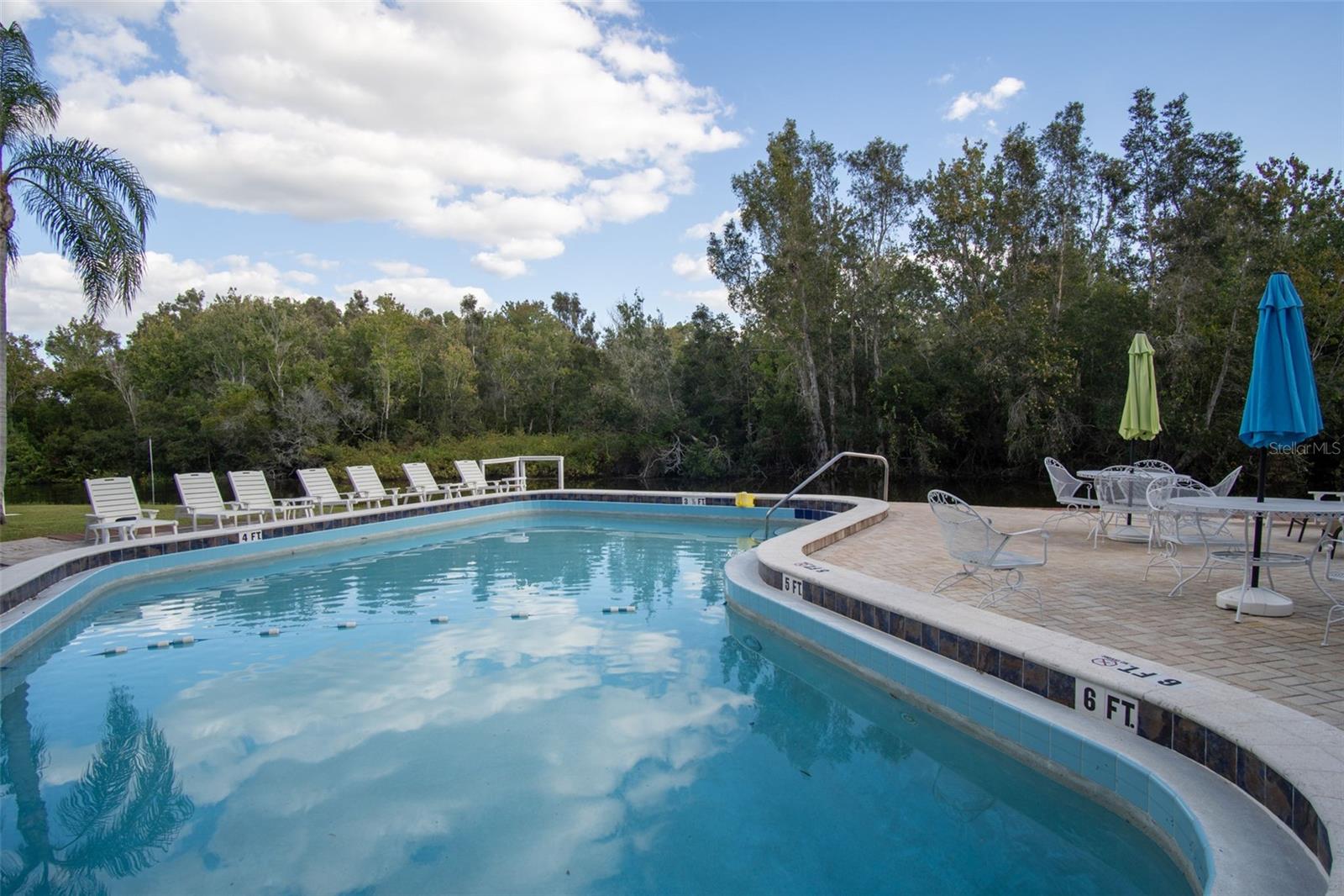 DOLLY BAY A VILLAGE ON LAKE TARPON - Residential