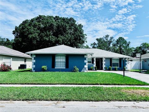 A home in WESLEY CHAPEL