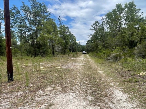 Tiny photo for 6628 NE 96 Avenue, Bronson, FL 32621 (MLS # O6421315)