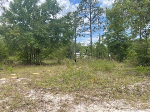 Tiny photo for 6628 NE 96 Avenue, Bronson, FL 32621 (MLS # O6421315)