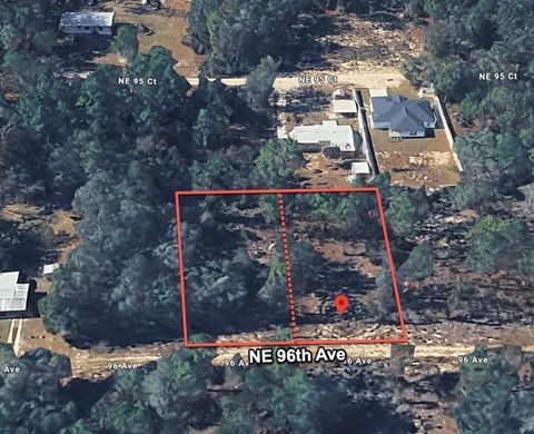 Tiny photo for 6628 NE 96 Avenue, Bronson, FL 32621 (MLS # O6421315)