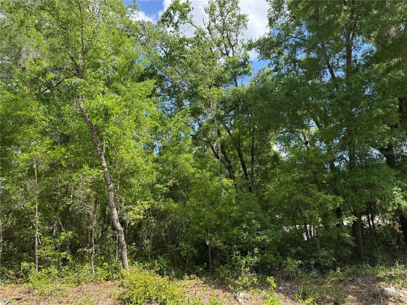 TBD SW CLEARWATER COURT