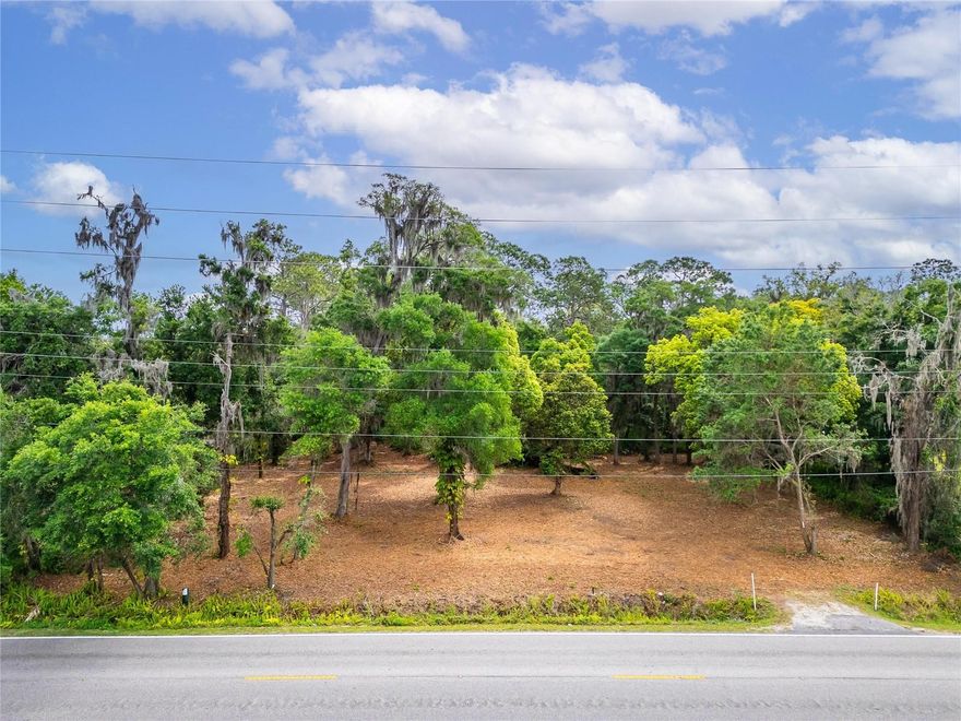 Great location and opportunity to own just under 5 acres of agricultural/residential land, zoned AS-1. Build your dream home and design
everything to your liking. Convenient location close to shopping, medical offices, schools and restaurants but nestled in the quaint area of Plant
City- home of the strawberries! Don't miss this opportunity to own your land and build a beautiful custom home.  Under 1 acre is buildable on this lot.  Opportunity to build a perfect home with great backyard views.