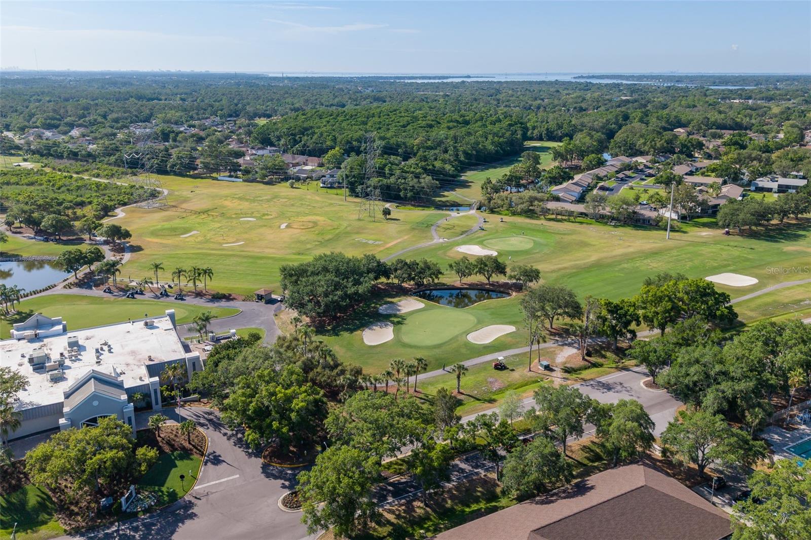 EAST LAKE WOODLANDS CLUSTER HOMES - Residential