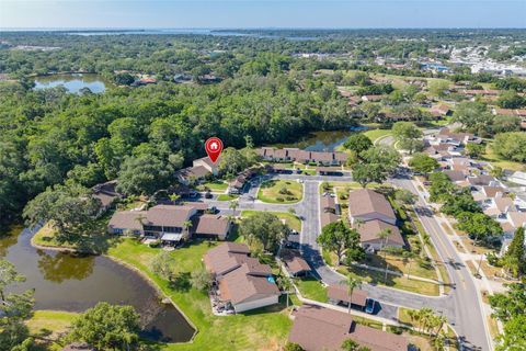 Photo of 110 Ingrid Place, Oldsmar, FL 34677 (MLS # TB8502559)