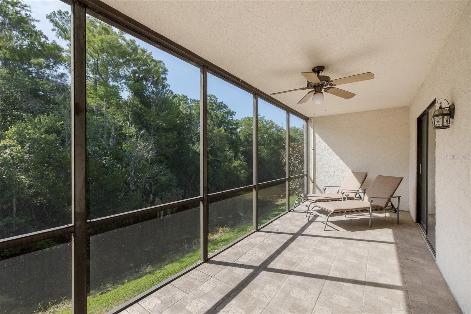 EAST LAKE WOODLANDS CLUSTER HOMES - Residential