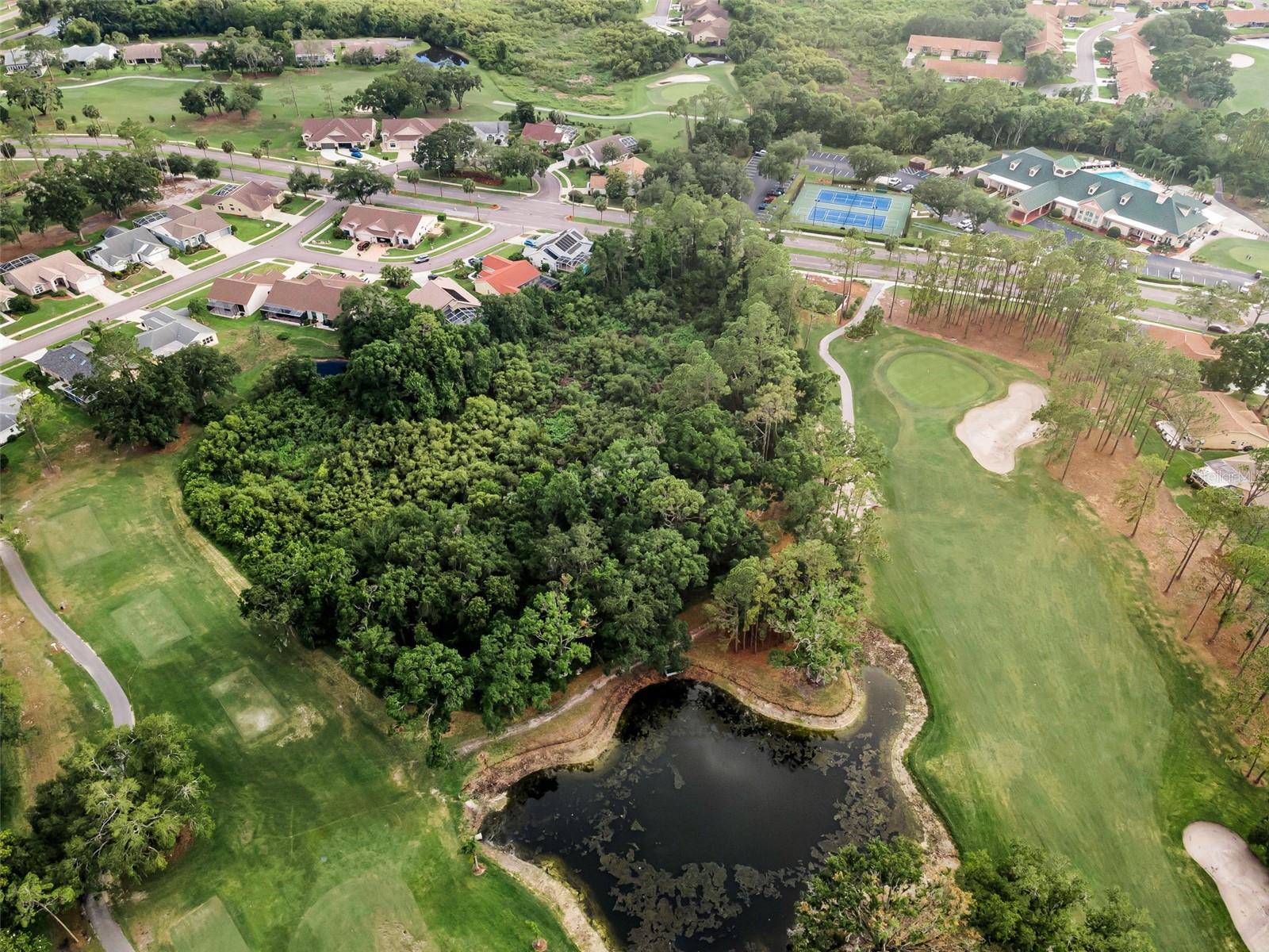 TIMBER GREENS PH 01A - Residential