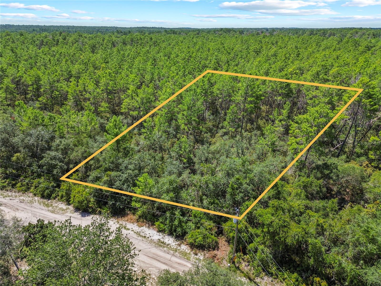 Don’t miss the interactive virtual tour to explore the property online before you drive by and see it in person!
This high-and-dry parcel offers the perfect opportunity to create your own country lifestyle. It backs up to the Ocala National Forest, so nature will always be your neighbor. A boundary survey has already been completed, giving you clear property lines and peace of mind when planning your future build. Bring your RVs, boats, ATVs, goats, chickens, cows, horses etc. Zoned R4, manufactures and mobiles are welcomed. Whether you’re planning your forever home, a weekend getaway, or an investment property, this lot checks all the boxes. Use 21445 SE 142nd Pl, Umatilla, FL 32784 for GPS navigation. Vacant land lot will be across from the home in the given address.