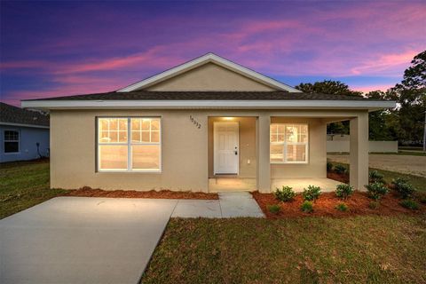 A home in BELLEVIEW