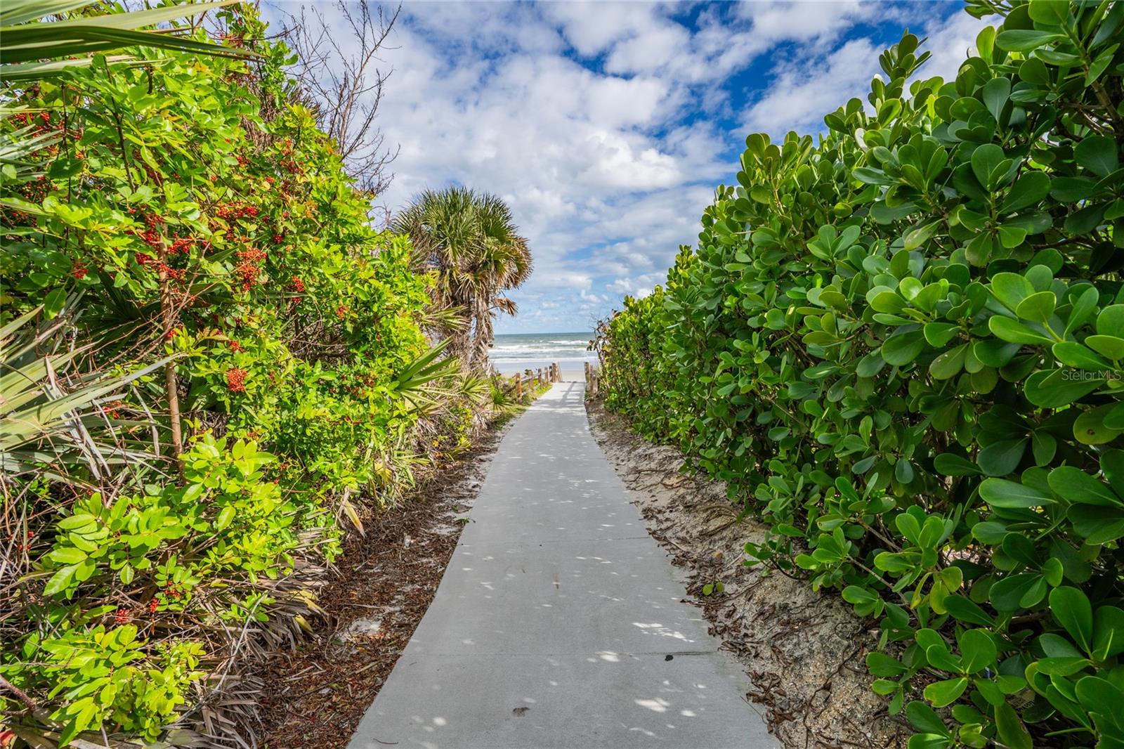 SEA WOODS UNIT 01 - Residential