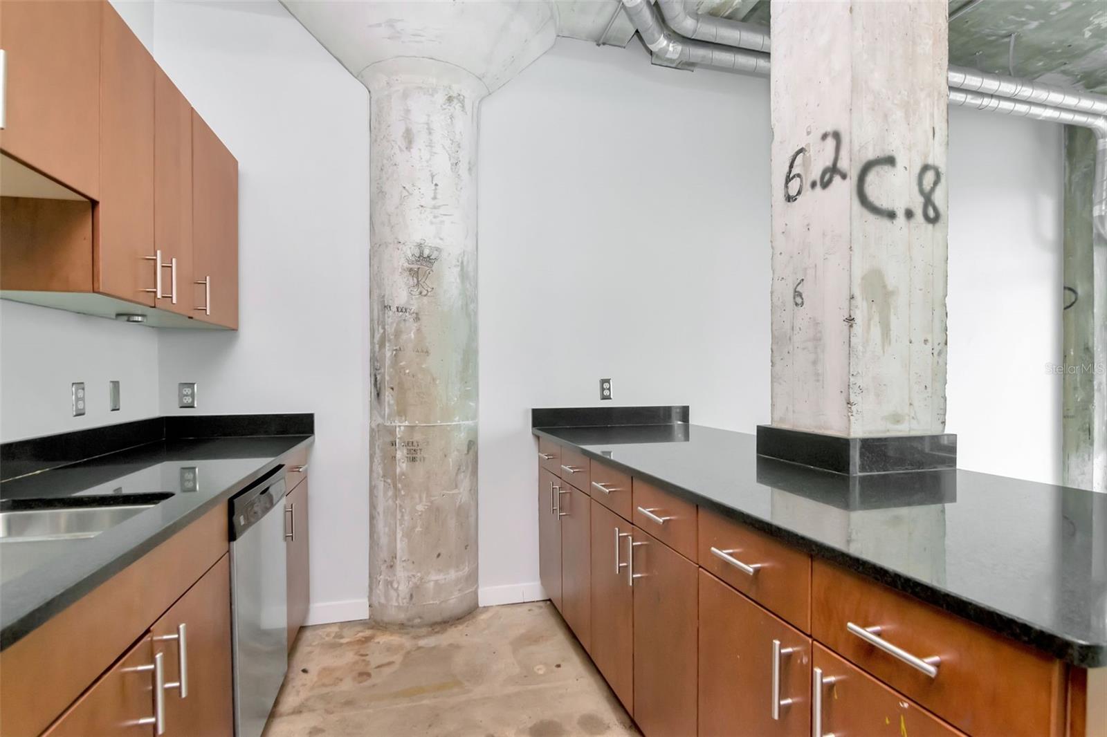 VICTORY LOFTS CONDO - Residential