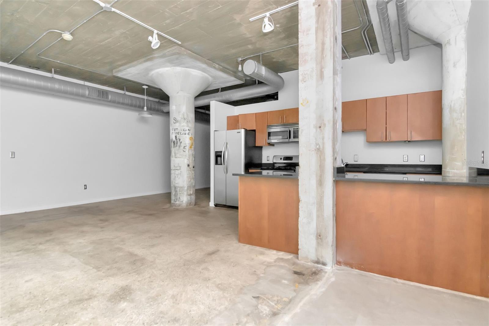 VICTORY LOFTS CONDO - Residential